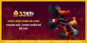 Cách Xem Chân Gà Chọi Chuẩn Xác, Chọn Chiến Kê Đá Hay